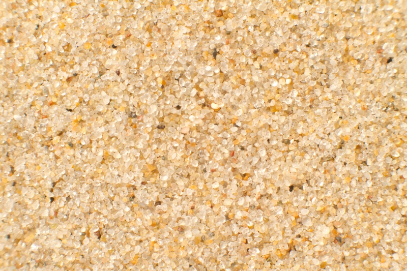 Nederland, Noord-Holland, Petten